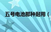 五号电池那种耐用（5号电池最耐用排名）