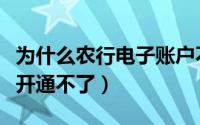为什么农行电子账户不能转钱（农行电子银行开通不了）
