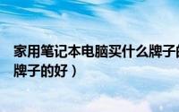 家用笔记本电脑买什么牌子的好用（家用笔记本电脑买什么牌子的好）