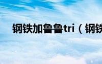 钢铁加鲁鲁tri（钢铁加鲁鲁有几种形态）