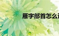 雁字部首怎么读（雁字部首）