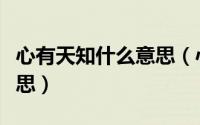 心有天知什么意思（心有天高命有纸薄什么意思）