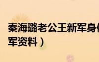 秦海璐老公王新军身体情况（秦海璐老公王新军资料）