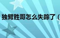 独臂胜哥怎么失踪了（快手独臂胜哥去哪了）