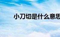 小刀切是什么意思（小刀切菜技巧）