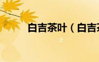 白吉茶叶（白吉茶产地什么地方）