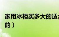 家用冰柜买多大的适合（家用冰柜一般买多大的）