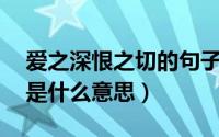 爱之深恨之切的句子（女人说爱之深,恨之切是什么意思）