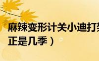 麻辣变形计关小迪打架是第几集（变形计王晨正是几季）
