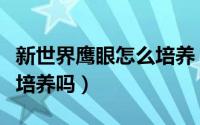 新世界鹰眼怎么培养（新世界鹰眼米霍克值得培养吗）