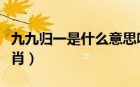 九九归一是什么意思呀（九九归一求圆满猜生肖）