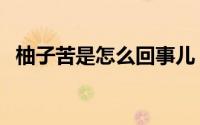 柚子苦是怎么回事儿（柚子苦是怎么回事）