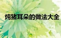 炖猪耳朵的做法大全（炖猪耳朵家常做法）