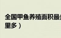 全国甲鱼养殖面积最多地方（全国养殖甲鱼哪里多）