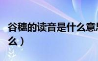 谷穗的读音是什么意思（“谷穗”的拼音是什么）