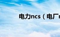 电力ncs（电厂ncs系统是什么）
