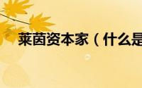 莱茵资本家（什么是莱茵模式资本主义）