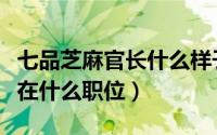 七品芝麻官长什么样子（七品芝麻官相当于现在什么职位）