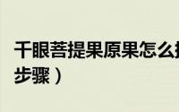 千眼菩提果原果怎么挑选（千眼菩提果的处理步骤）
