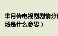 芈月传电视剧剧情分集介绍（芈月传中纪念成汤是什么意思）
