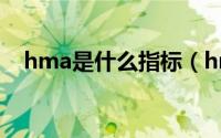 hma是什么指标（hma指标的使用绝招）