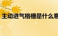 主动进气格栅是什么意思（格栅是什么意思）