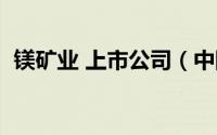 镁矿业 上市公司（中国四大镁矿上市公司）
