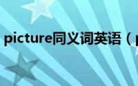 picture同义词英语（picture的同音同义词）