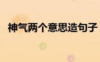 神气两个意思造句子（神气两个意思造句）