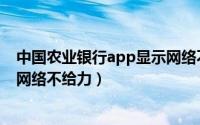 中国农业银行app显示网络不给力（农业银行app一直显示网络不给力）