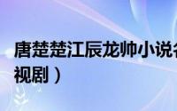 唐楚楚江辰龙帅小说名字（唐楚楚江辰龙帅电视剧）