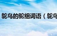 鸵鸟的驼组词语（鸵鸟的鸵组词两个字的词）