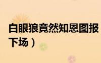 白眼狼竟然知恩图报（白眼狼的善报与恶报的下场）