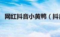网红抖音小黄鸭（抖音小黄鸭是怎么火的）