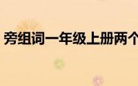 旁组词一年级上册两个字（旁的组词一年级）