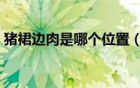猪裙边肉是哪个位置（猪裙边肉的做法大全）