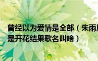 曾经以为爱情是全部（朱雨辰唱的歌中有一句是曾以为爱情是开花结果歌名叫啥）