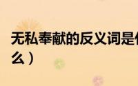无私奉献的反义词是什么（奉献的反义词是什么）