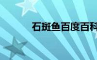 石斑鱼百度百科（石斑蛙百科）