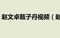 赵文卓甄子丹视频（赵文卓甄子丹电影大全）