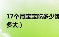 17个月宝宝吃多少饭合适（17个月宝饭量是多大）