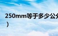 250mm等于多少公分（25mm等于多少公分）