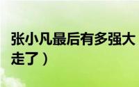 张小凡最后有多强大（张小凡最后和谁一起飞走了）