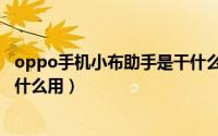 oppo手机小布助手是干什么的（oppo手机上的小布指令有什么用）
