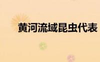 黄河流域昆虫代表（八大目代表昆虫）