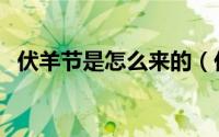 伏羊节是怎么来的（伏羊节的来历和意义）