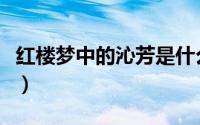 红楼梦中的沁芳是什么（红楼梦沁芳环境特点）