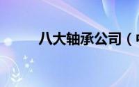 八大轴承公司（中国八大轴承厂）