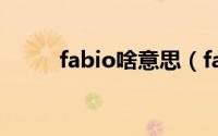 fabio啥意思（fabia是什么意思）