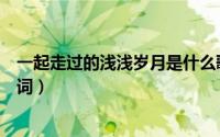 一起走过的浅浅岁月是什么歌的歌词（看岁月是哪首歌的歌词）